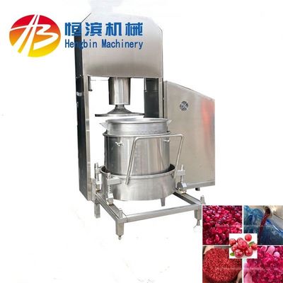 Potente pressante idraulica da 3 kW per la produzione di fragole, limoni, mele, banane e pere