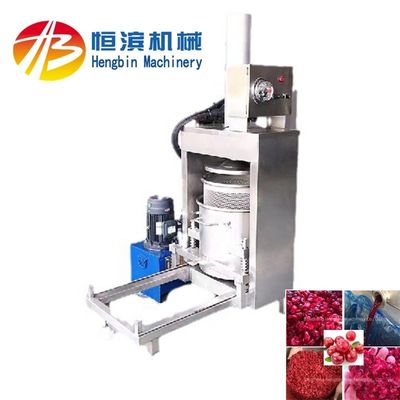 200 kg/h Commerciale idraulica Ananas Mango Selleria Fragola Limone Mela Banana Perla Succatore Press Machine