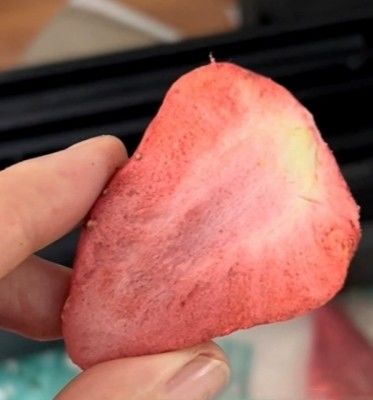 10 kg per lotto asciugatrice a vuoto per la lavorazione su larga scala di frutta e verdura