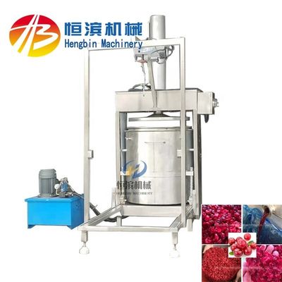 Facile da utilizzare 300L commercializzabile Pure Juicer Press a freddo idraulica per alta produttività