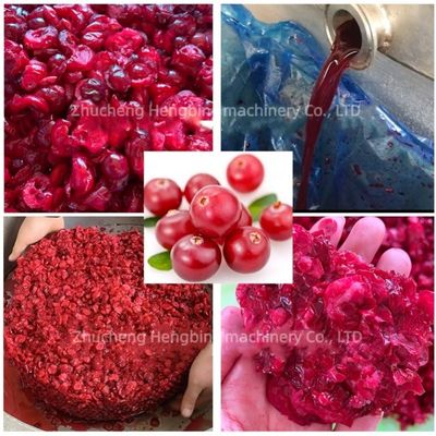 304 Stainless Steel Hydraulic Cold-Press Juicer per la produzione commerciale di succo d'arancia