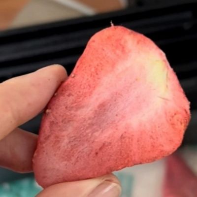 Apparecchiature per la disidratazione per congelamento sotto vuoto per la carne di frutta e di ortaggi in ambienti commerciali